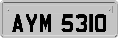 AYM5310