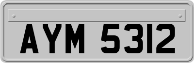AYM5312