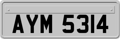 AYM5314