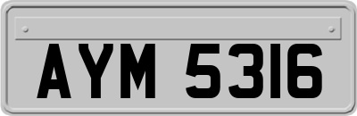 AYM5316