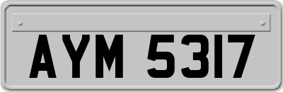 AYM5317