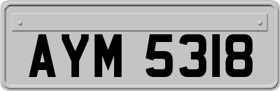 AYM5318