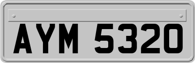 AYM5320