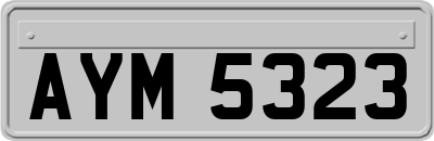 AYM5323