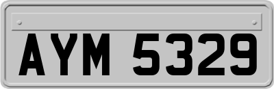 AYM5329