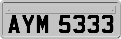 AYM5333