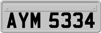 AYM5334