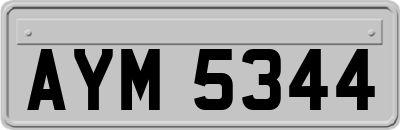 AYM5344