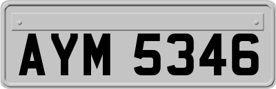 AYM5346