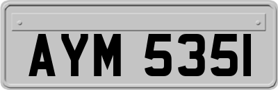 AYM5351