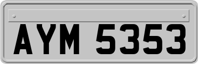 AYM5353