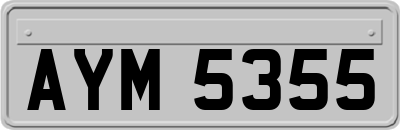 AYM5355