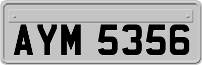 AYM5356