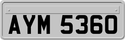 AYM5360