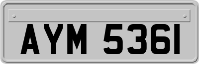 AYM5361