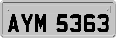 AYM5363