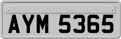 AYM5365