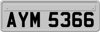 AYM5366