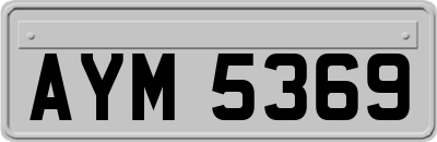 AYM5369