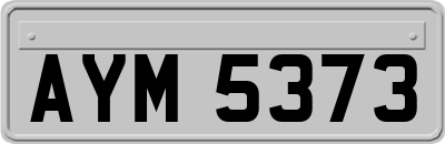 AYM5373