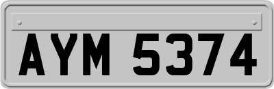 AYM5374