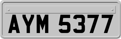 AYM5377