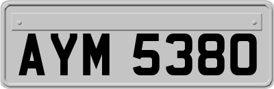 AYM5380