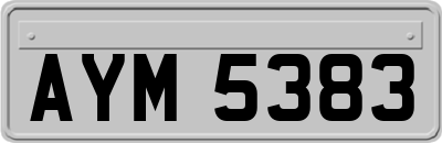 AYM5383