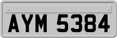 AYM5384