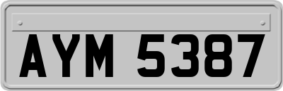 AYM5387