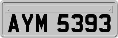 AYM5393