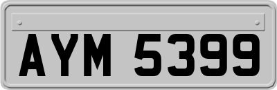 AYM5399