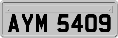 AYM5409