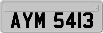 AYM5413