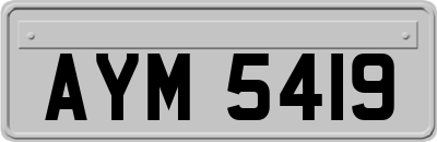 AYM5419