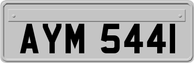 AYM5441