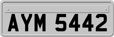 AYM5442