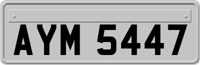 AYM5447