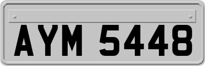 AYM5448