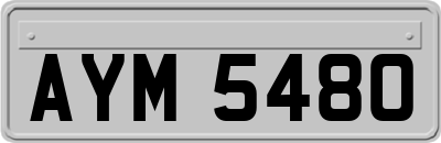 AYM5480