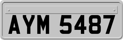 AYM5487