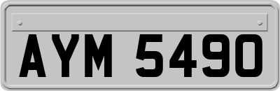 AYM5490