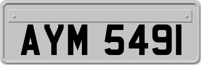 AYM5491