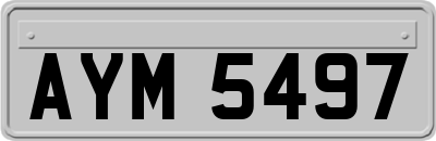 AYM5497
