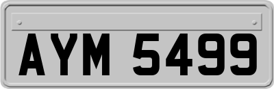 AYM5499