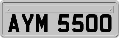 AYM5500