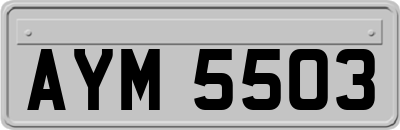 AYM5503