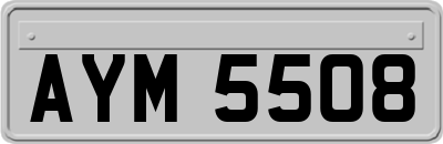 AYM5508