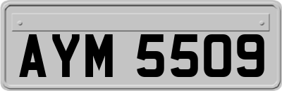AYM5509
