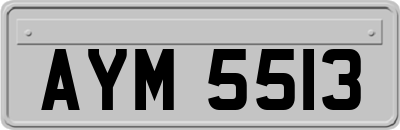 AYM5513